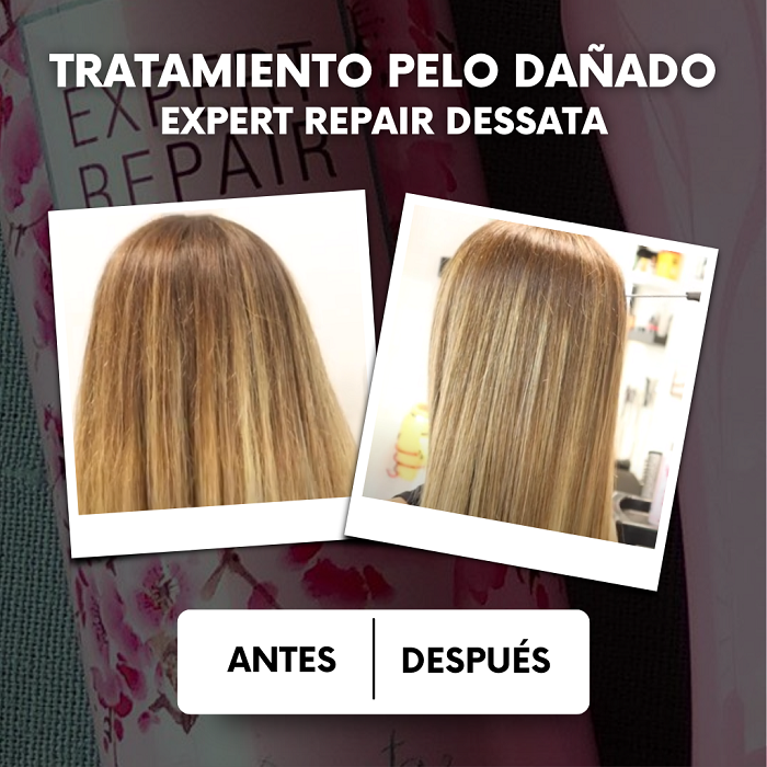 Dessata > Tratamientos capilares > Tratamientos Pelo Dañado o Encrespado
