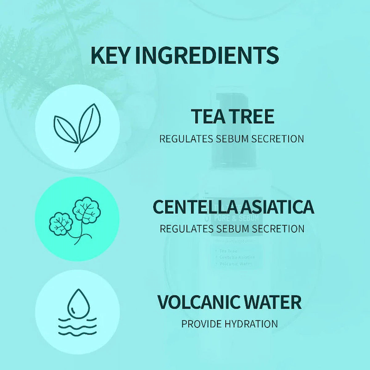 Tónico Purificante con Tea Tree | Coxir Tea Tree Pore & Sebum Toner 150ml