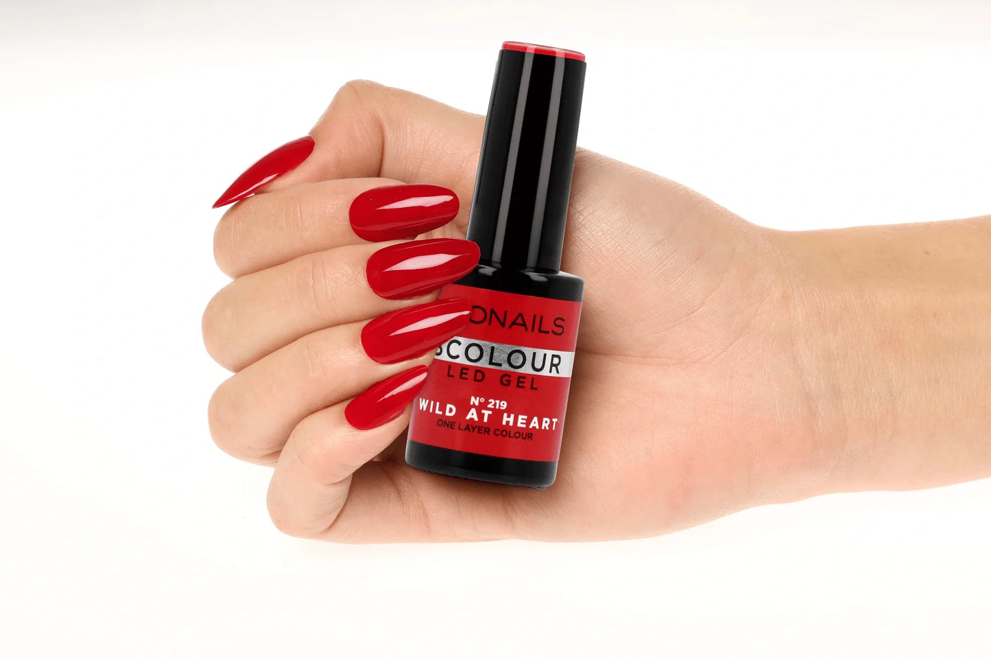 ProNails BSystem discovery box