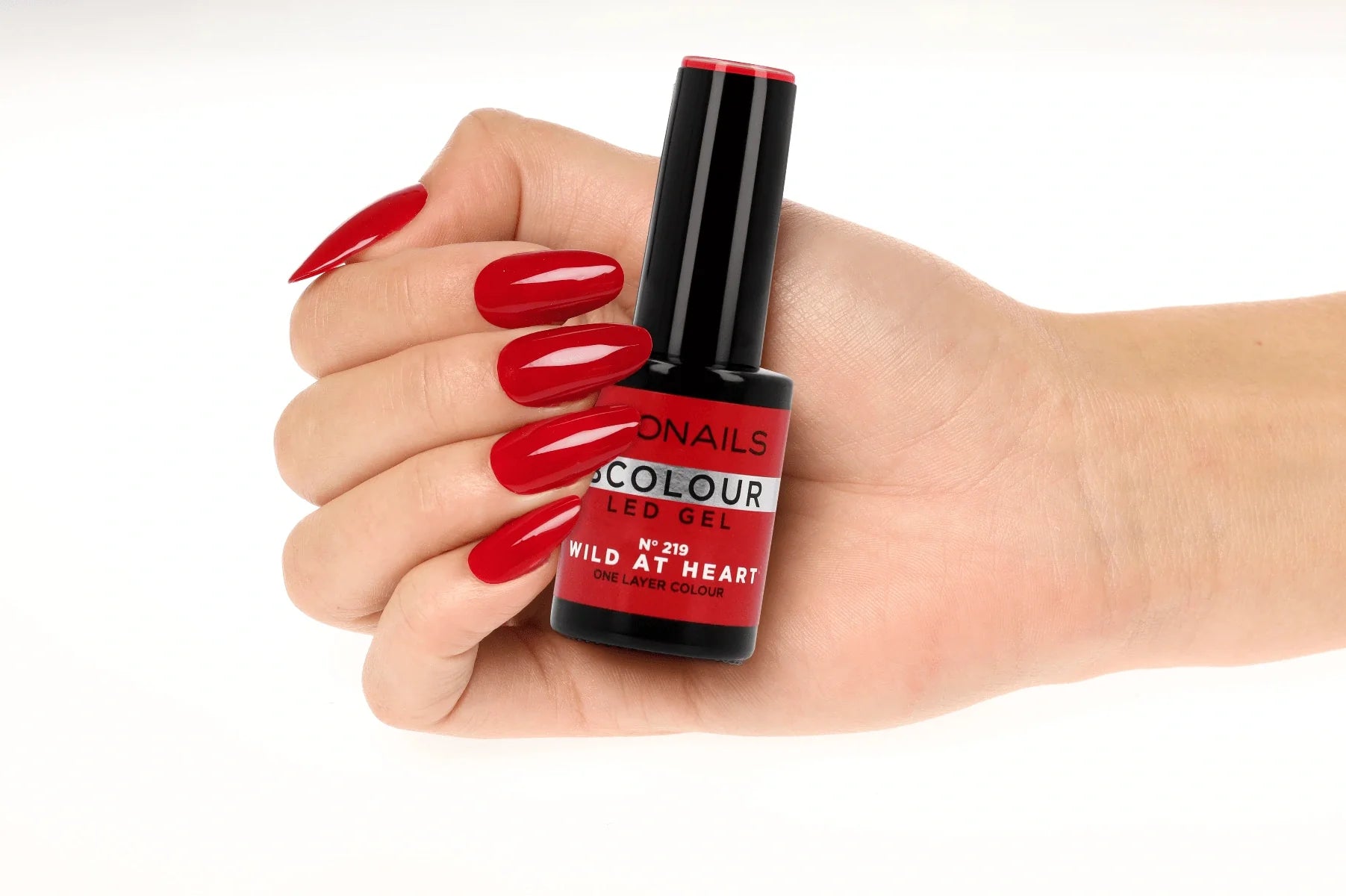 ProNails BSystem discovery box