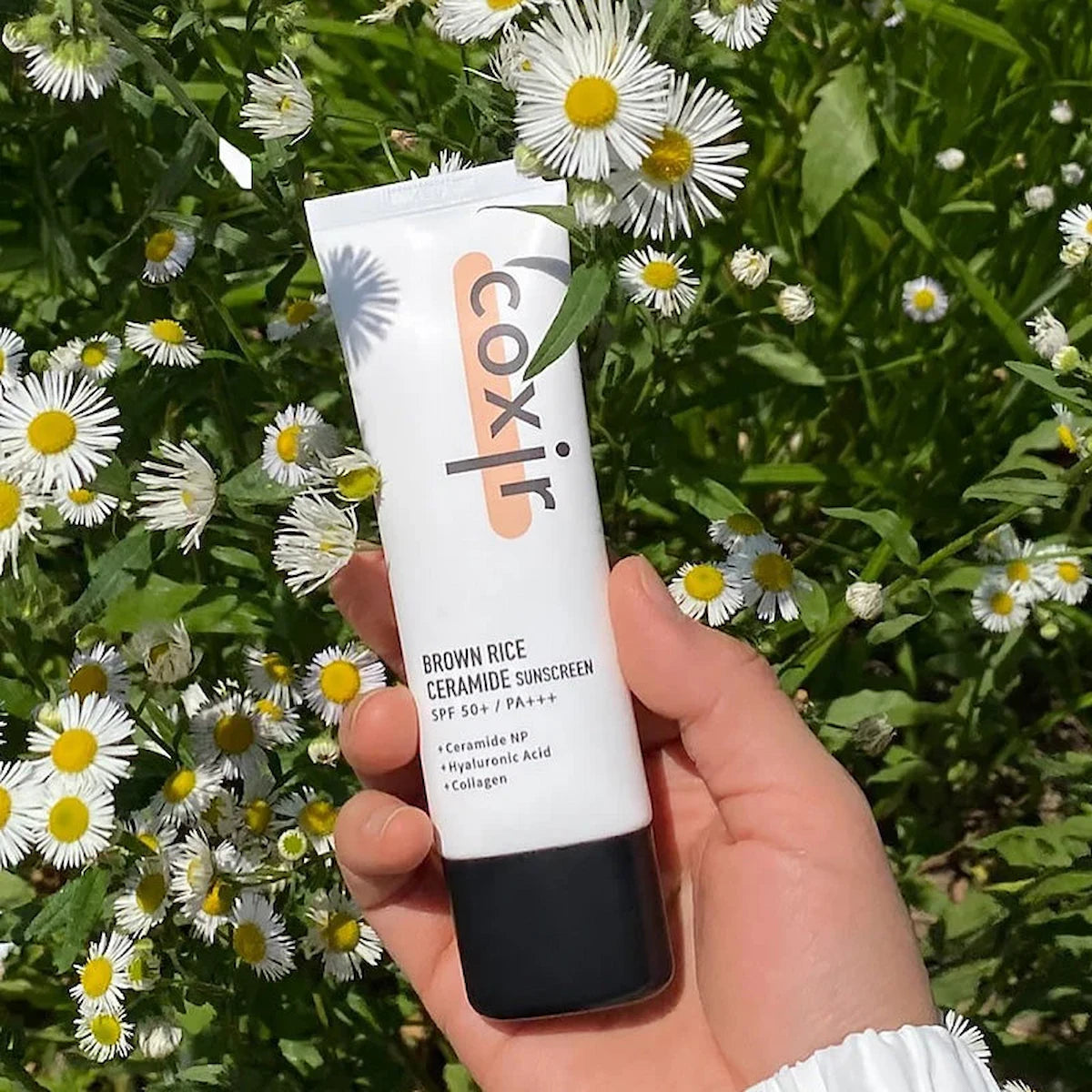 Protector Solar con Ceramidas y Arroz | Coxir Brown Rice Ceramide Sunscreen 50 ml
